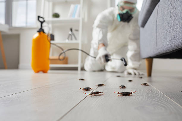 Commercial Kitchen Cockroach Control in Saukville
